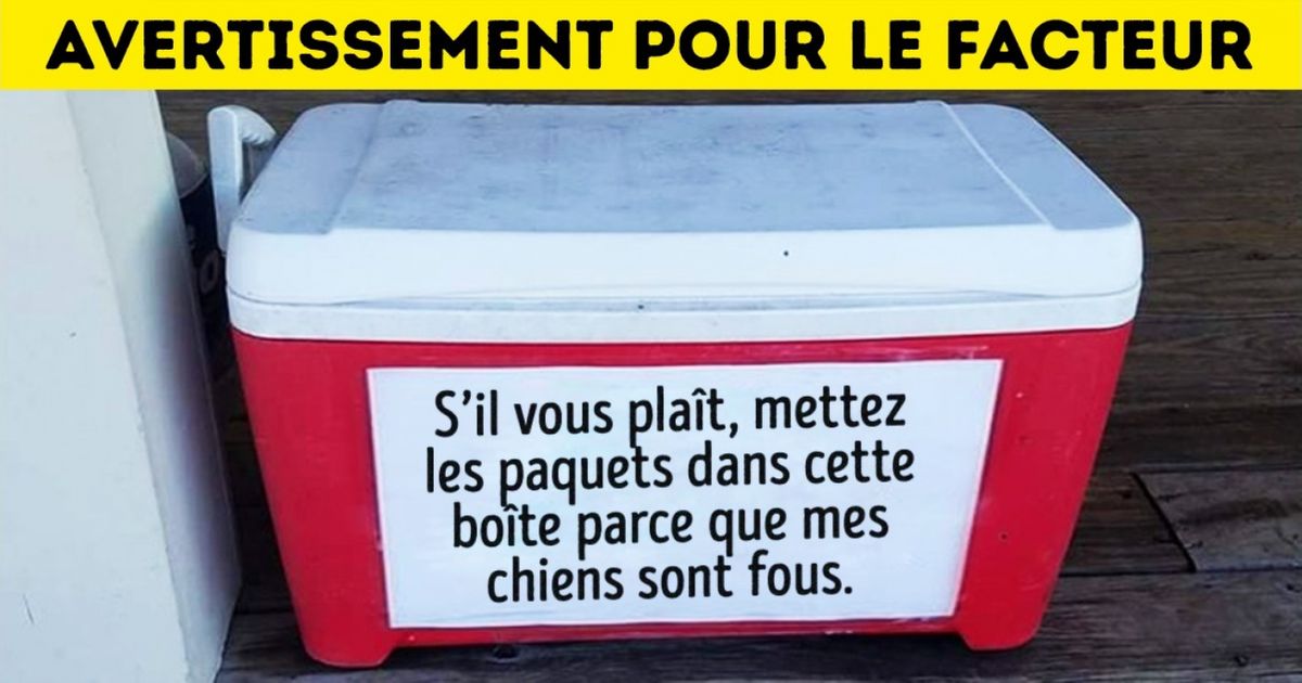 Ces 35 photos montrent à quoi ressemble la vie, quand nous possédons des animaux de compagnie