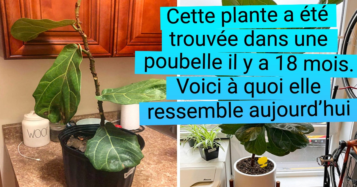 17 Personnes ont partagé des photos “avant et après” qui montrent le progrès visible même à l’œil nu