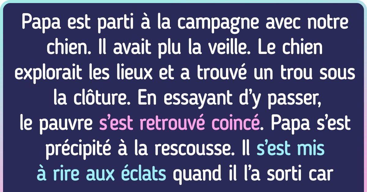 15+ Personnes qui ne connaissent pas la paix avec leurs petits compagnons à poils