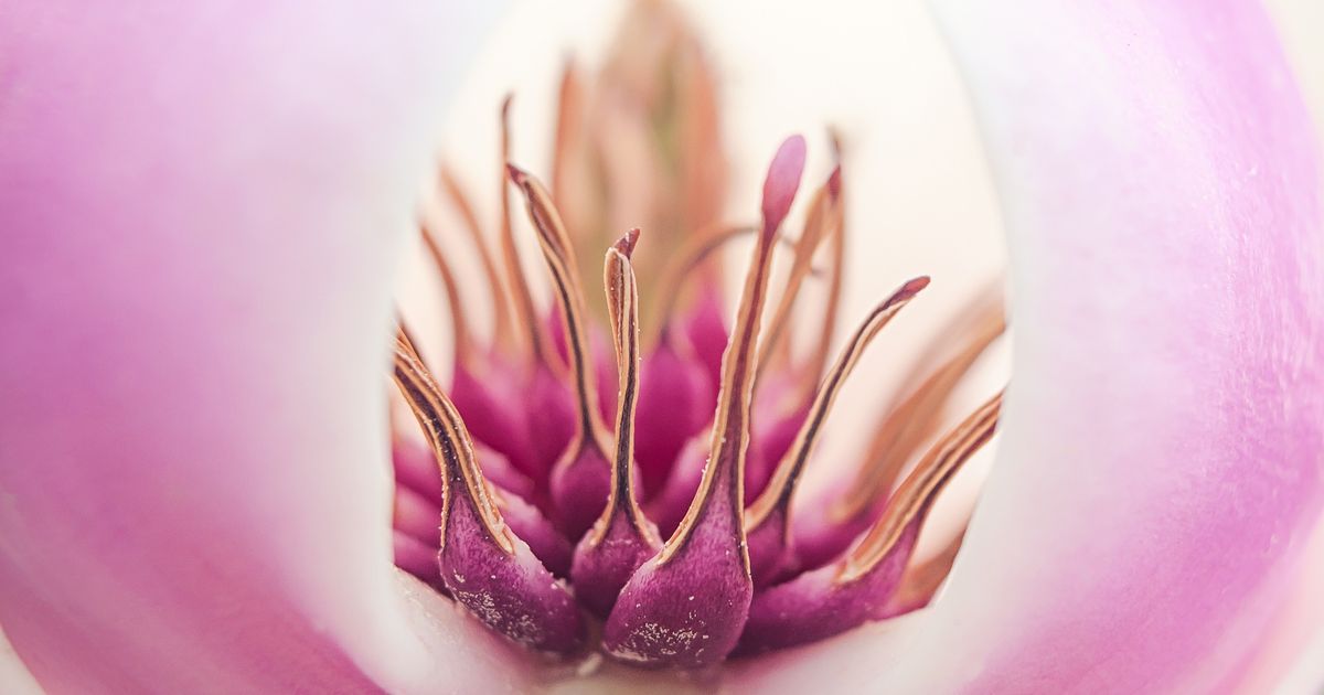 20 Images prises au microscope numérique