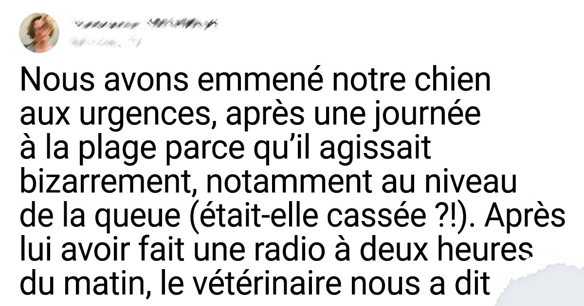 15 Personnes dont les histoires pourraient remporter le prix du “meilleur revirement de situation” de tous les temps