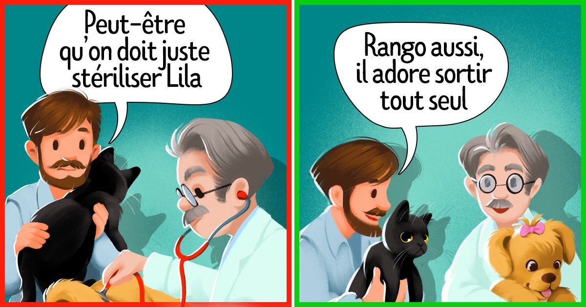 9 Mythes sur la stérilisation des chiens et chats qu’il est temps de dissiper
