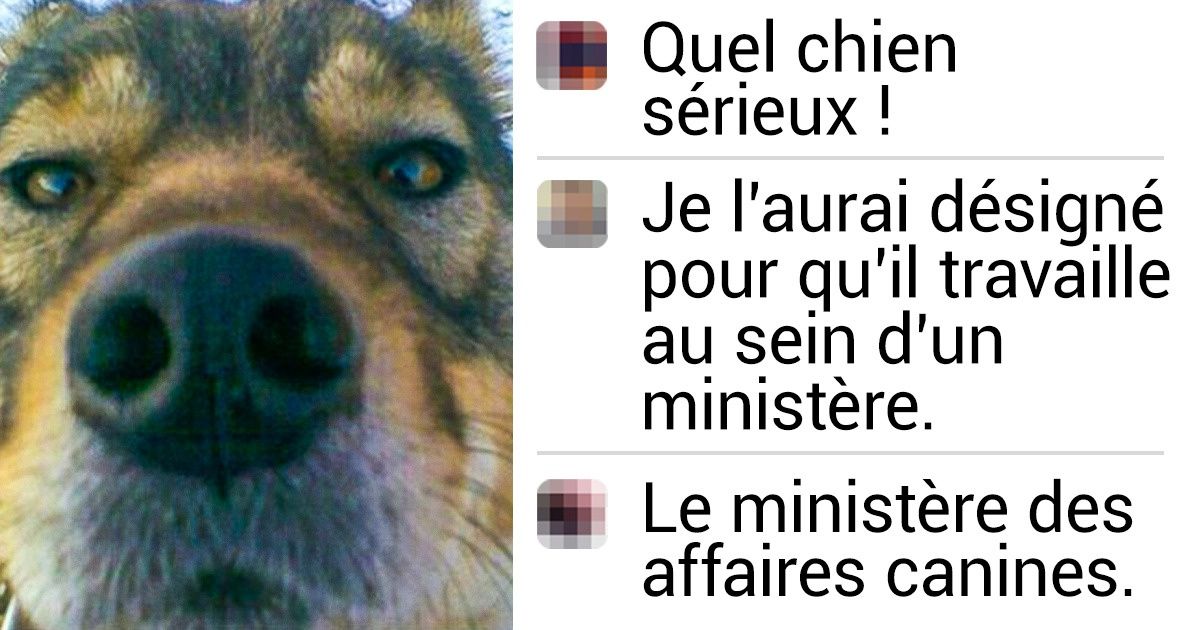 20 Commentaires d’internautes qui vont te faire mourir de rire !