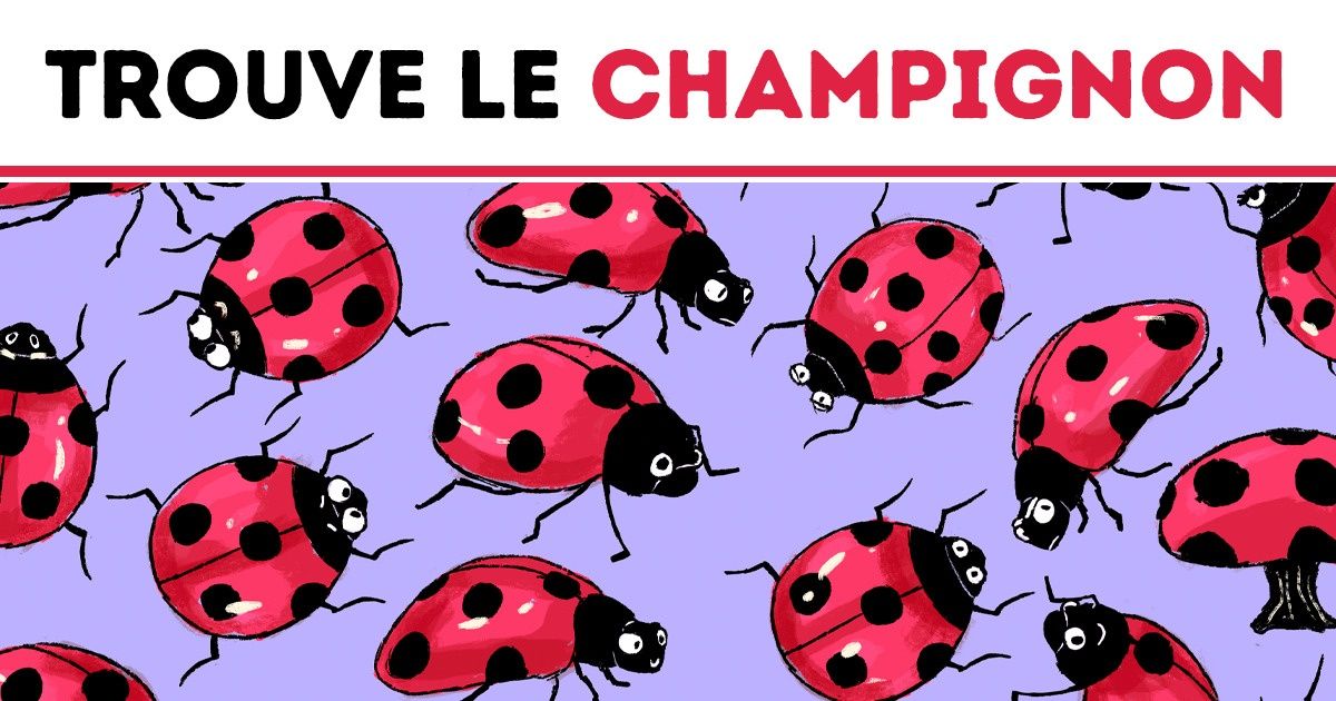 Test : découvre à quel point tu es observateur en repérant les intrus sur ces images