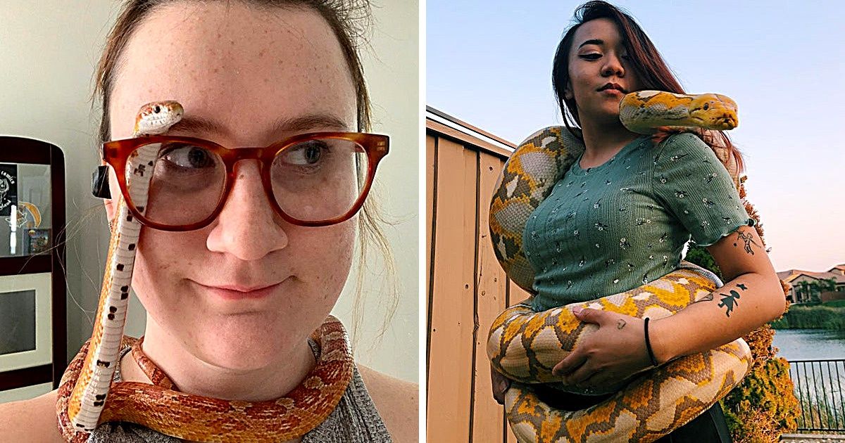 20 Internautes ont prouvé que les serpents peuvent être aussi adorables qu’un chien ou un chat