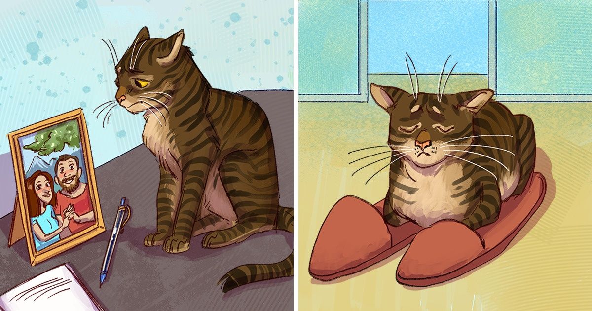 Nous avons cherché à savoir ce que font les chats en l’absence de leurs maîtres