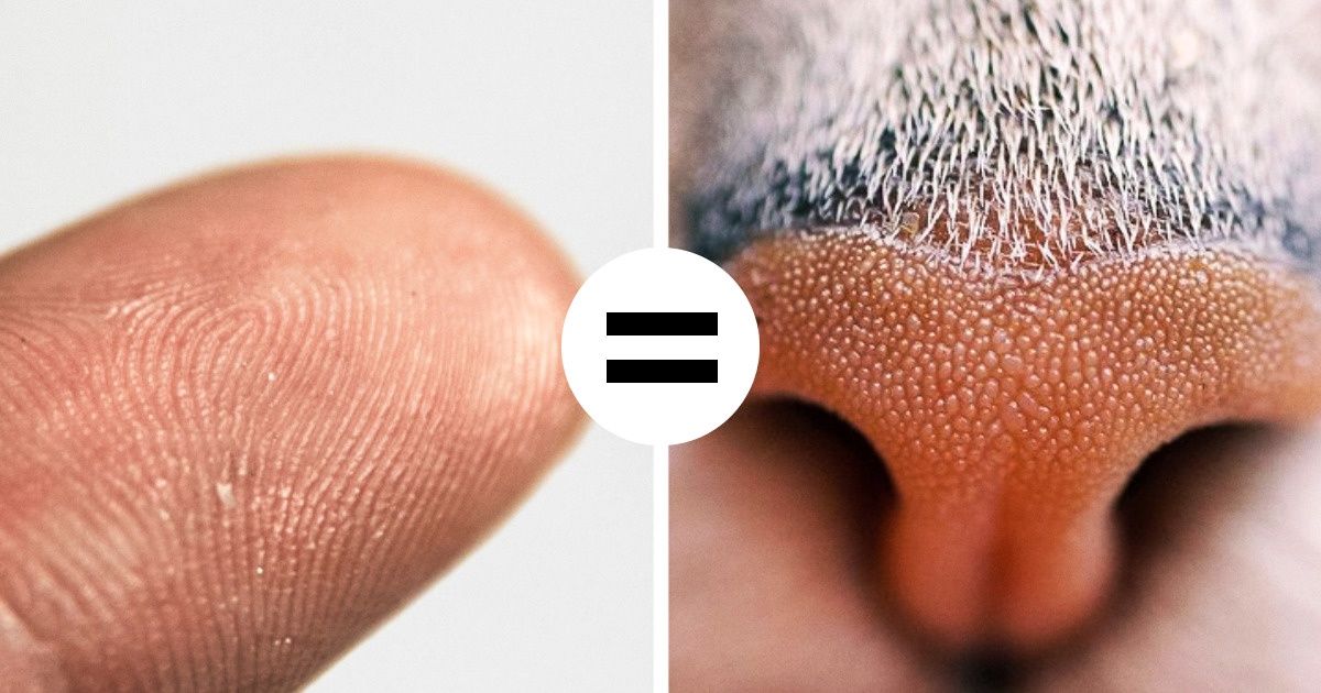 17 Informations sur les chats qui te donneront envie de les aimer encore plus