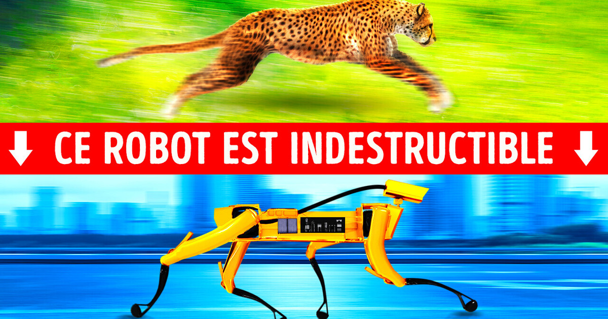 10 Robots étonnants inspirés d’animaux qui existent vraiment 10 Robots étonnants inspirés d’animaux qui existent vraiment