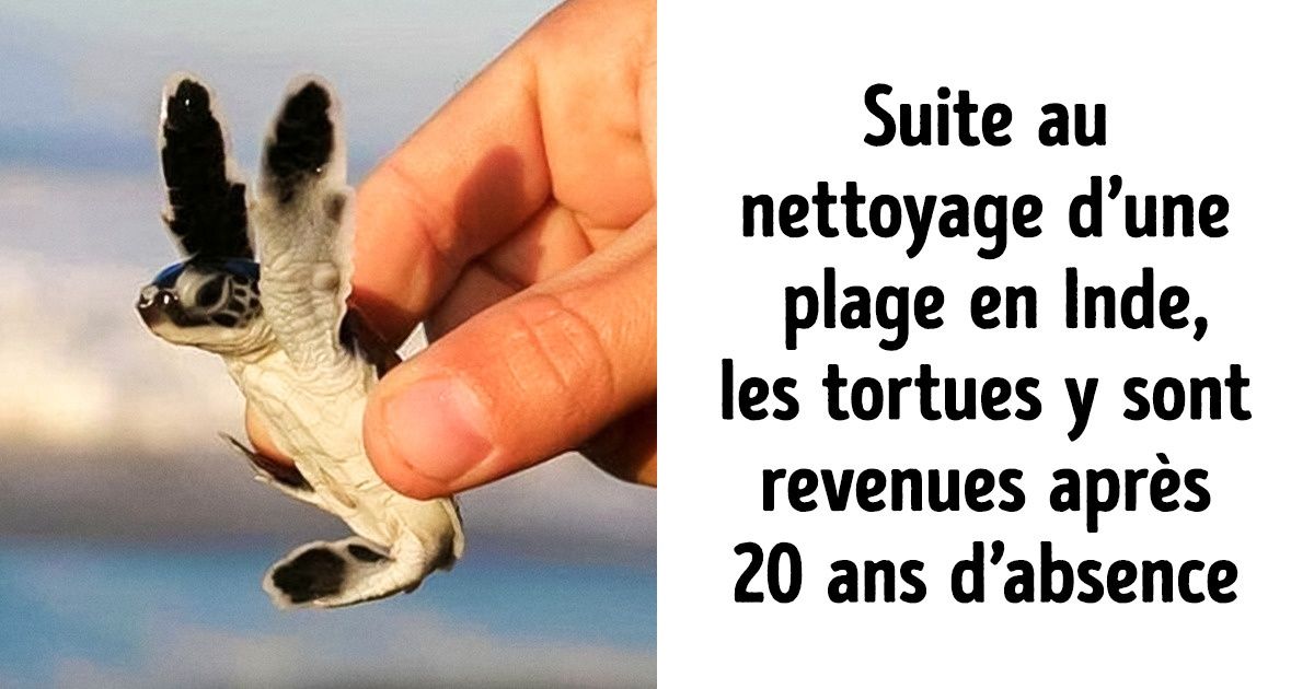 10 Victoires inspirantes remportées par les humains dans leur lutte pour une planète plus propre 10 Victoires inspirantes remportées par les humains dans leur lutte pour une planète plus propre