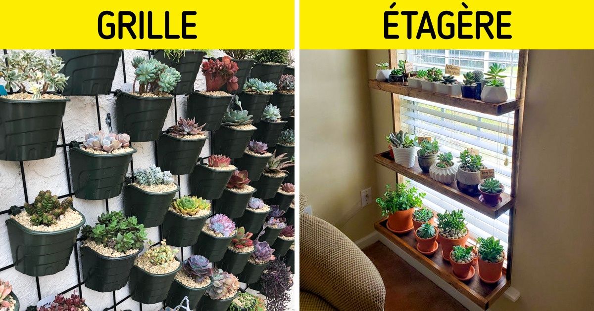 15 Jardins de plantes grasses que tu peux réaliser à la maison (quel que soit l’espace disponible)