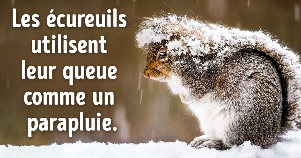 Lis ces 15 bonnes nouvelles, et tu verras que le monde ne va heureusement pas si mal Lis ces 15 bonnes nouvelles, et tu verras que le monde ne va heureusement pas si mal