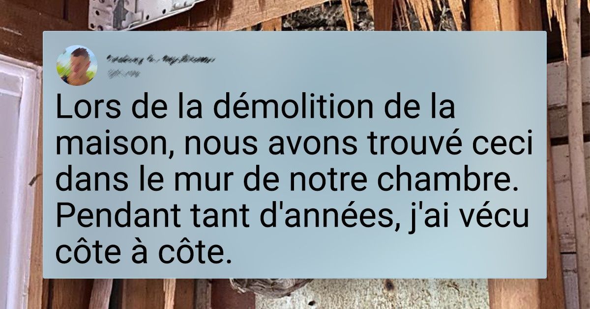 19 Propriétaires surpris par les trouvailles inattendues dans leur maison