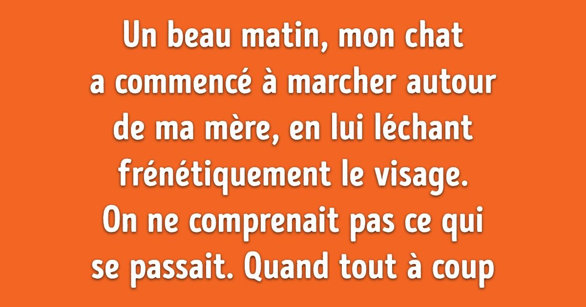 20+ Personnes qui ont partagé des moments où leur animal de compagnie a fait preuve d’une rare intelligence 20+ Personnes qui ont partagé des moments où leur animal de compagnie a fait preuve d’une rare intelligence