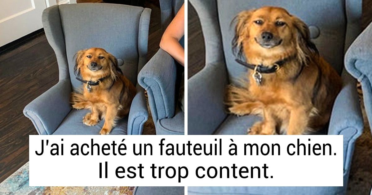 13 Photos qui appellent au câlin