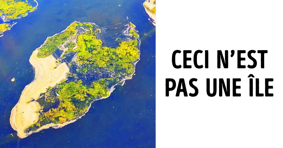 Ces 13 illusions d’optique te feront douter de la réalité