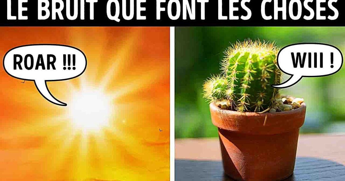 Ton Cactus te Crie Dessus + d’Autres Sons que tu n’Entends Pas Ton Cactus te Crie Dessus + d’Autres Sons que tu n’Entends Pas