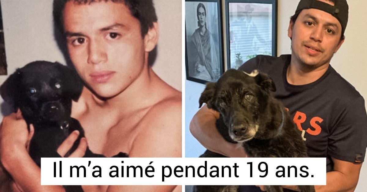 15+ Images d’animaux seniors qui prouvent que l’amour ne fait que se renforcer avec le temps