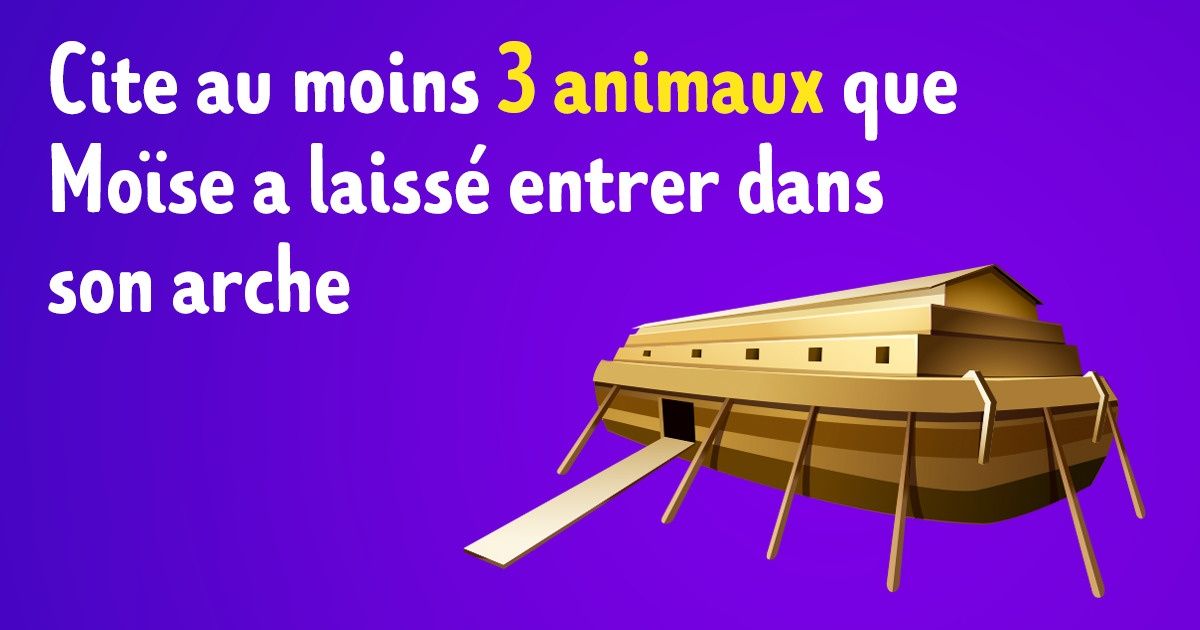 12 Casse-têtes utilisés dans les programmes de développement de la pensée logique