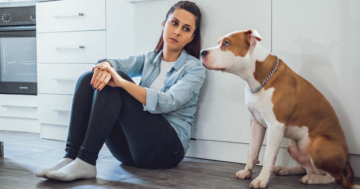 Selon une étude, les propriétaires d’animaux de compagnie transmettent leur stress à leurs fidèles compagnons Selon une étude, les propriétaires d’animaux de compagnie transmettent leur stress à leurs fidèles compagnons