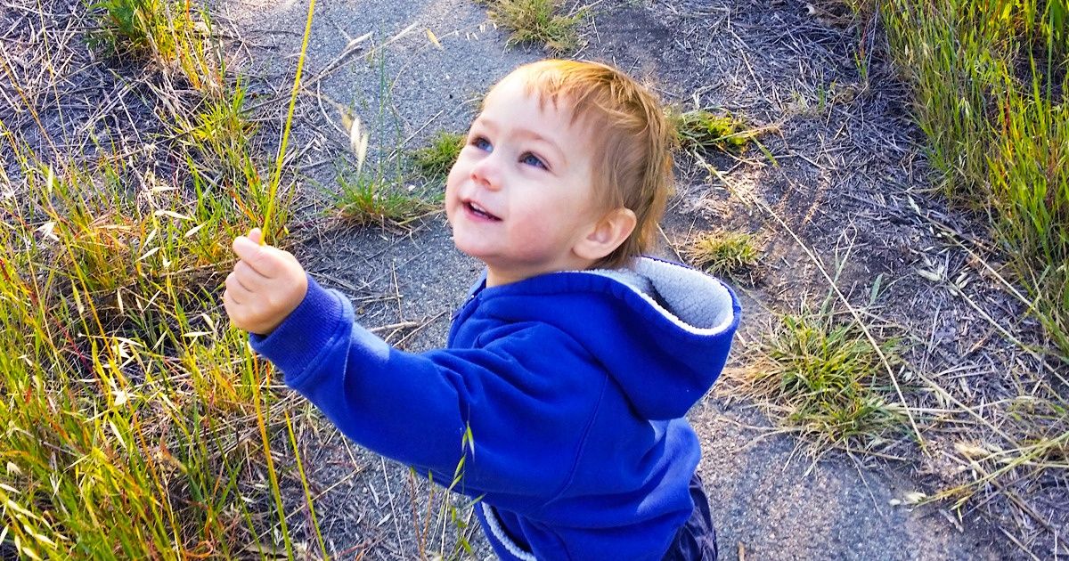Les scientifiques affirment que les enfants qui passent plus de temps en plein air ont une meilleure santé mentale à l’âge adulte Les scientifiques affirment que les enfants qui passent plus de temps en plein air ont une meilleure santé mentale à l’âge adulte