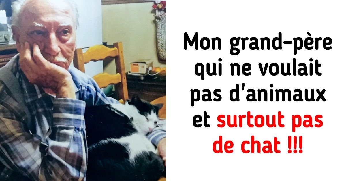 15+ Lecteurs de Sympa qui sont prêts à décrocher la Lune pour leurs animaux alors qu’ils n’en voulaient pas