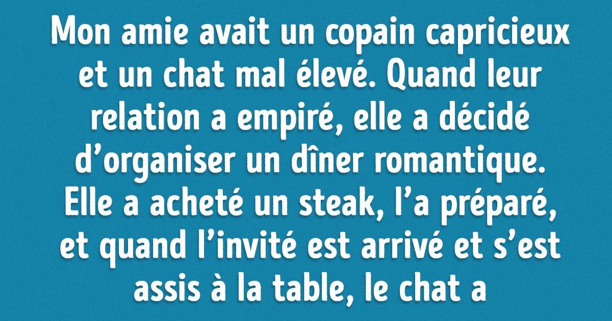 20+ Situations absurdes que seuls les propriétaires de chats peuvent rencontrer 20+ Situations absurdes que seuls les propriétaires de chats peuvent rencontrer