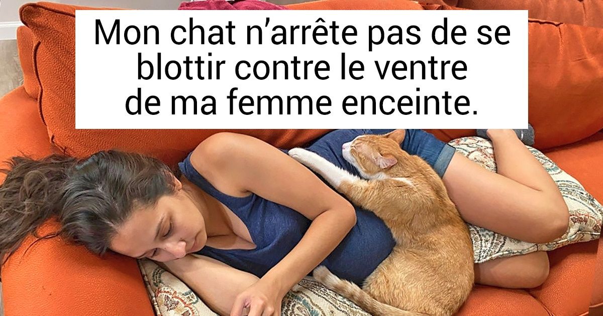 20+ Animaux de compagnie qui ont offert à leur maître la meilleure chose du monde : leur amour inconditionnel