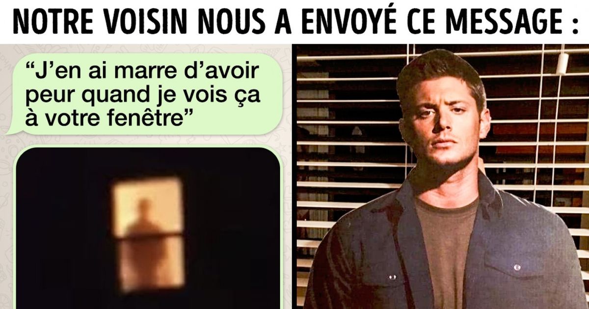La vie de voisinage est une histoire sans fin et ces 19 photos nous le prouvent