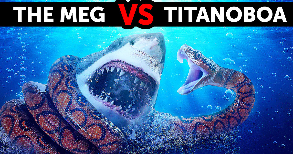Et si Megalodon Rencontrait le Plus Grand Serpent de Tous Les Temps