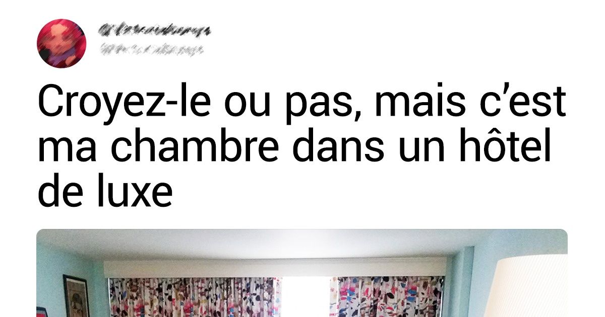 19 Personnes qui ont simplement réservé une chambre d’hôtel, mais qui ont reçu chat en poche