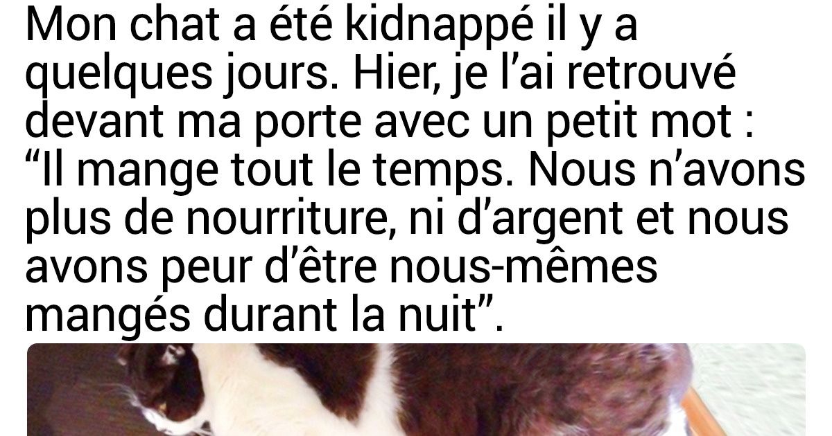 20 Animaux domestiques particulièrement ingénieux qui surprennent leurs maîtres