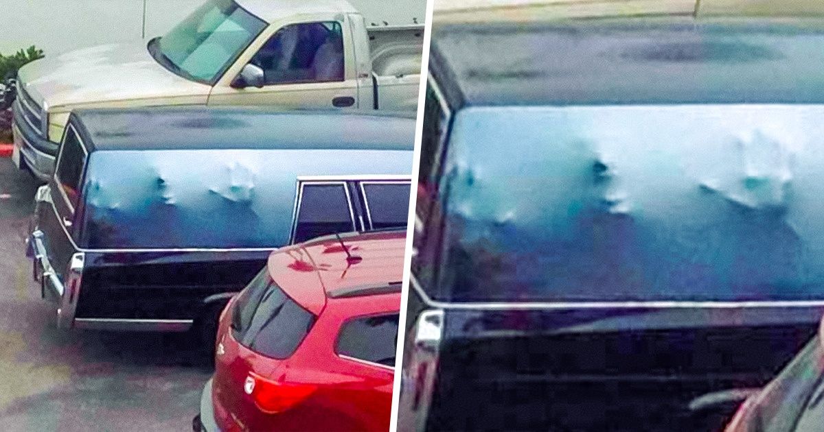 19 photos troublantes qui ne sont pas adaptées aux personnes sensibles (nous sommes sérieux)