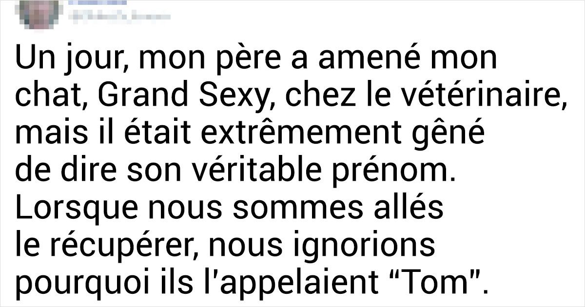 20+ Internautes ont partagé des anecdotes amusantes sur les noms de leurs animaux de compagnie 20+ Internautes ont partagé des anecdotes amusantes sur les noms de leurs animaux de compagnie