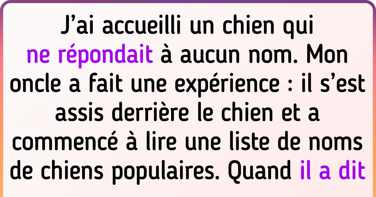 25+ Amis poilus pour qui on recherche un nom parfait