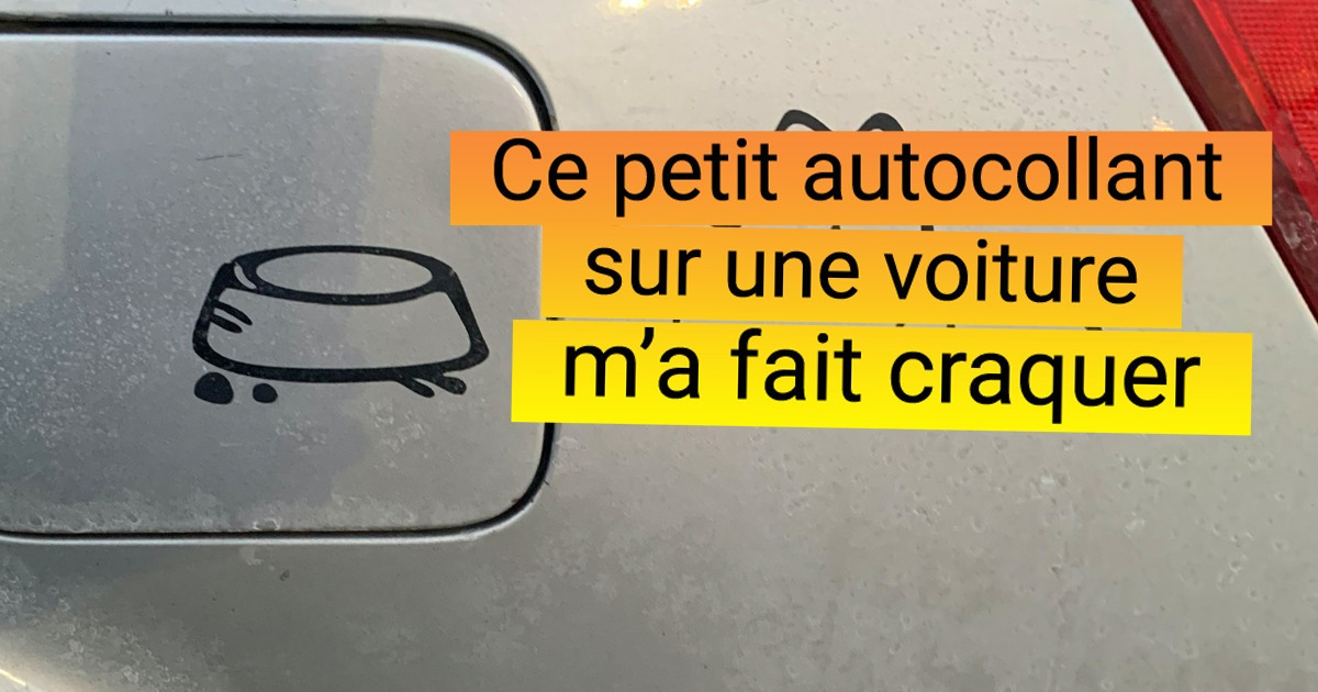 14 Personnes chanceuses qui ont capturé des moments touchants et inattendus avec leur appareil photo