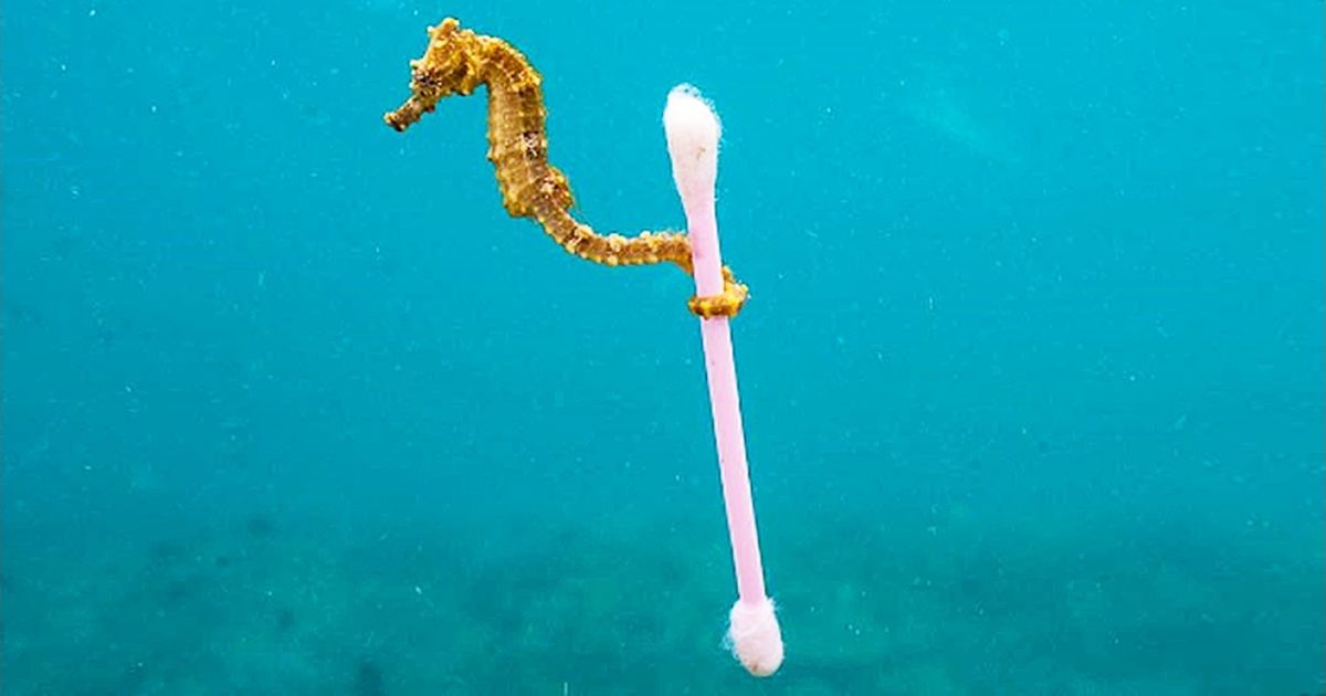 Ces photos sur la relation entre l’être humain et la nature prouvent que quelque chose doit changer