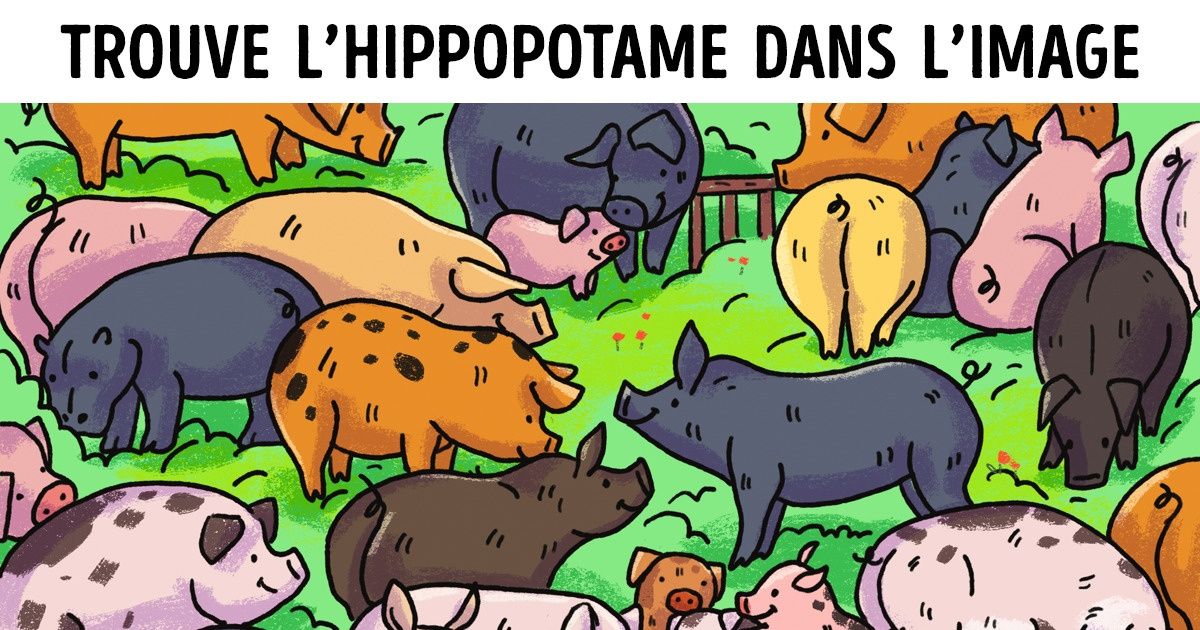 Voici 10 images pour tester ton sens de l’observation Voici 10 images pour tester ton sens de l’observation