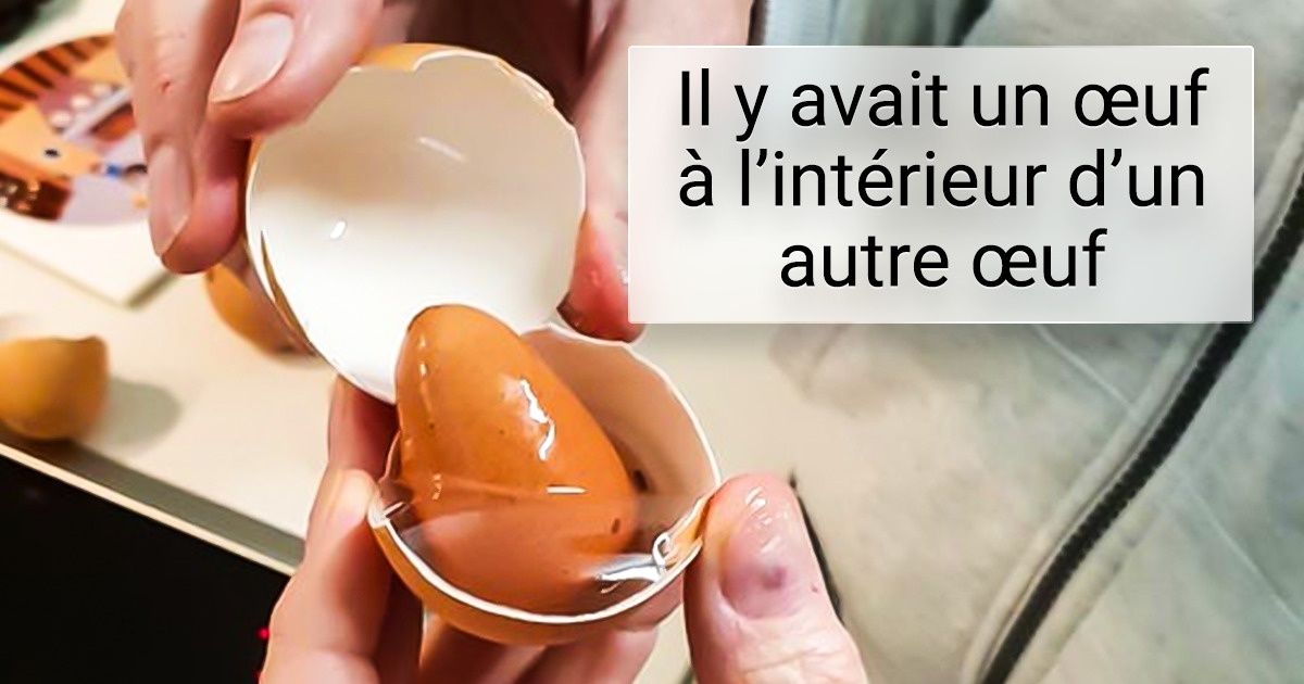 20 Personnes qui ont trouvé des choses tout à fait inattendues dans d’autres objets