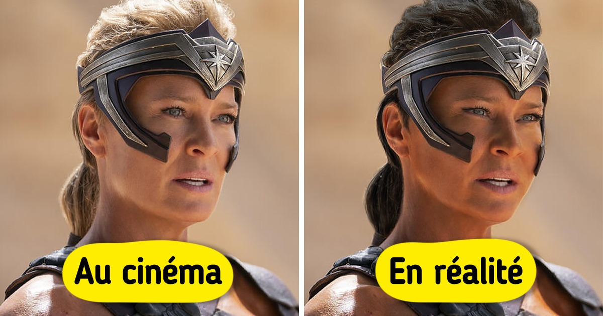 8 Idées fausses sur les Amazones que l’on a toujours prises pour argent comptant 8 Idées fausses sur les Amazones que l’on a toujours prises pour argent comptant
