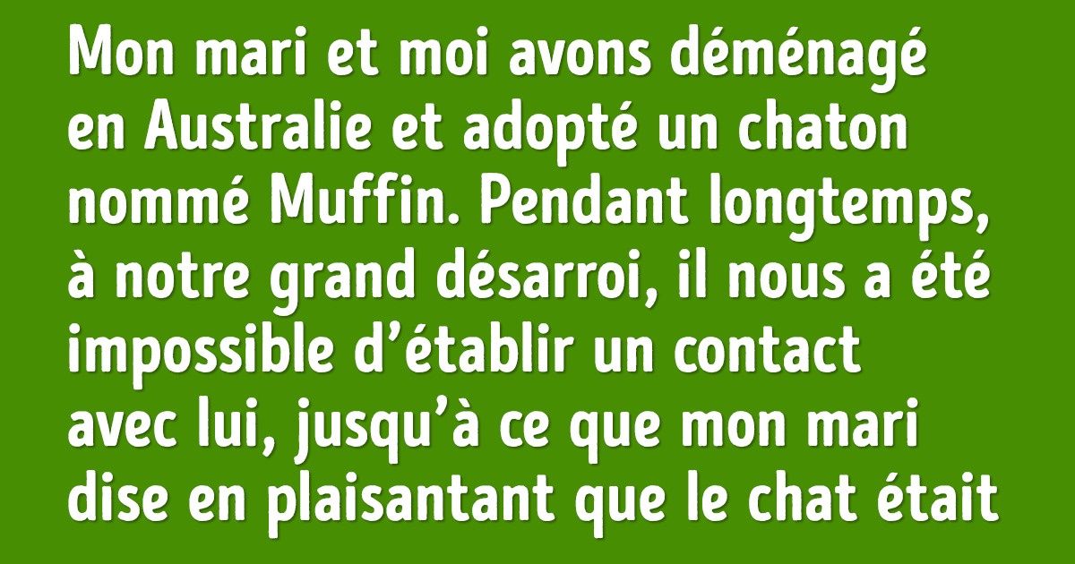 17 Preuves que l’intelligence des animaux est beaucoup plus élevée qu’on ne le pense 17 Preuves que l’intelligence des animaux est beaucoup plus élevée qu’on ne le pense