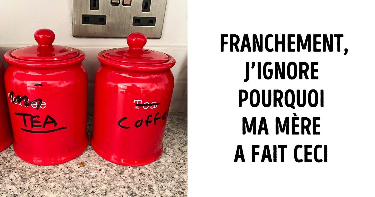 20 Personnes qui ont transgressé toutes les lois de la logique