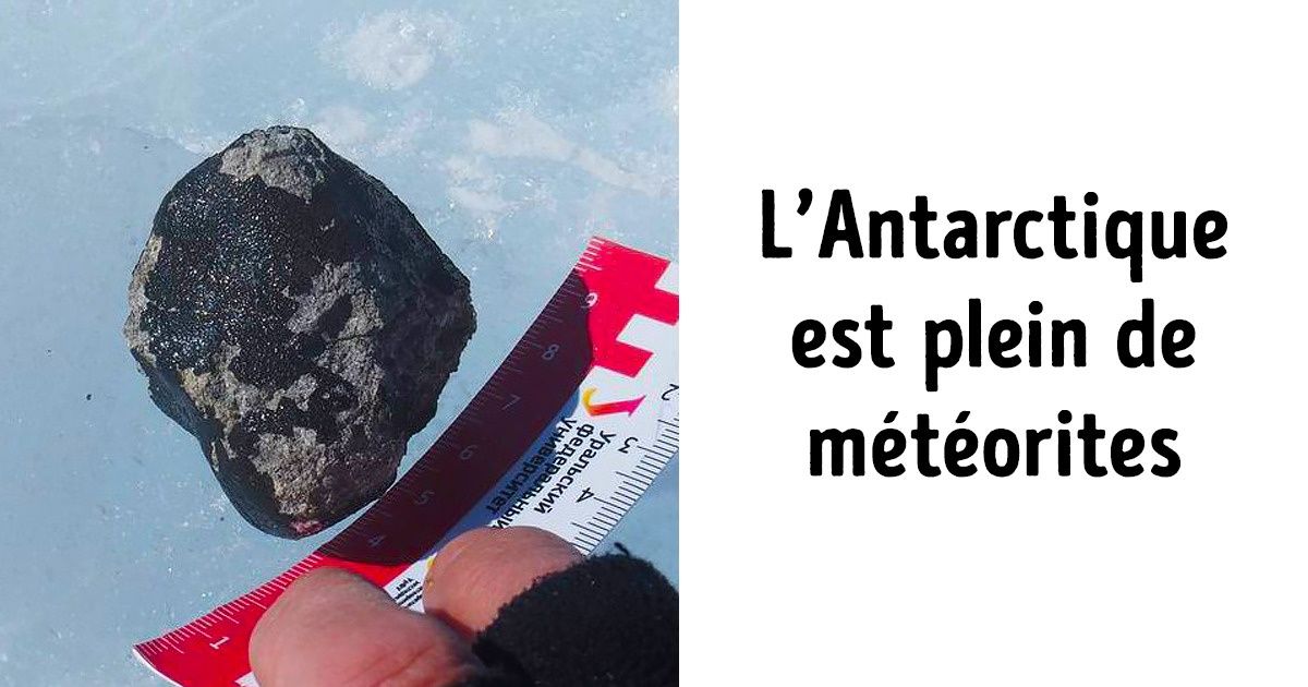 7 Faits sur l’Antarctique qui vont fasciner même les plus indifférents 7 Faits sur l’Antarctique qui vont fasciner même les plus indifférents