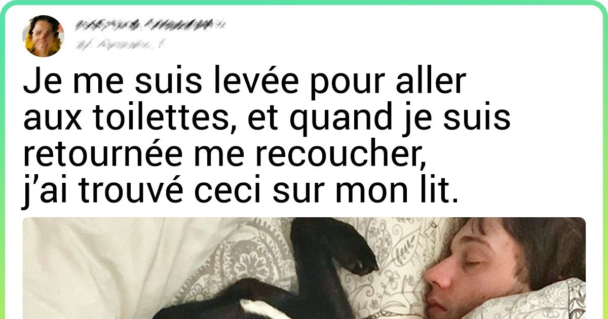 20 Fois où de petites surprises sont arrivées dans notre vie aux moments les plus inattendus