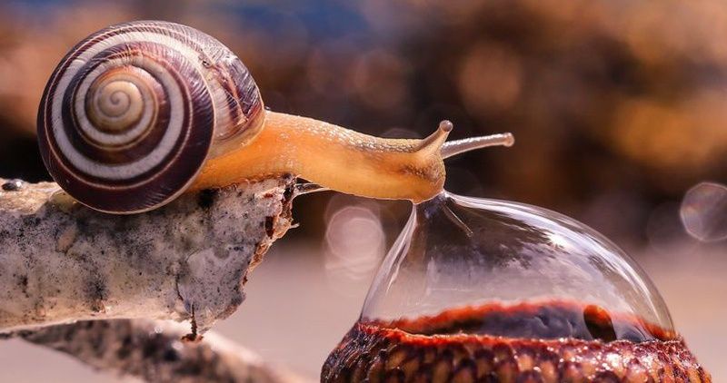 15 Clichés qui te montreront à quel point notre planète est surprenante