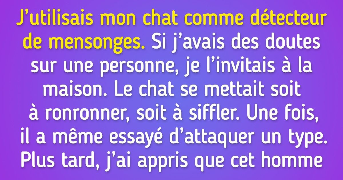 16 Histoires d’animaux de compagnie qui nous ont épatés par leur intelligence