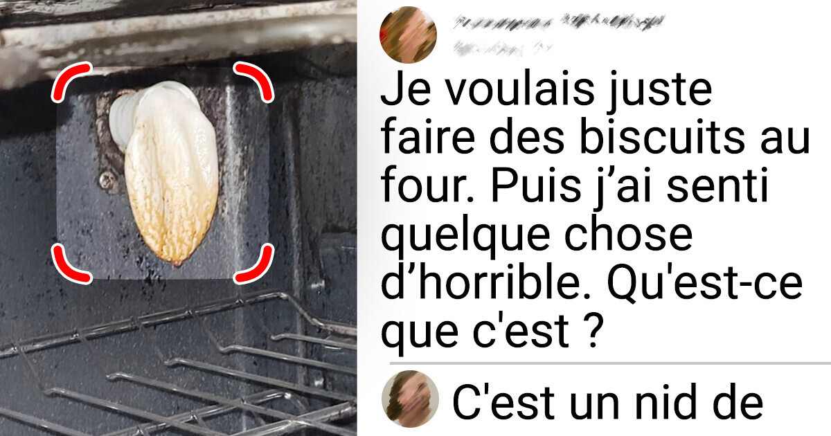Quand la vie fait des farces : 18 Photos qui rendent la malchance hilarante