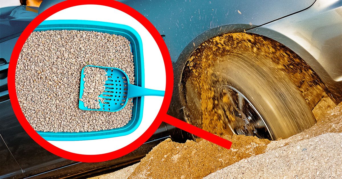 11 choses qu’un conducteur intelligent garde dans sa voiture 11 choses qu’un conducteur intelligent garde dans sa voiture
