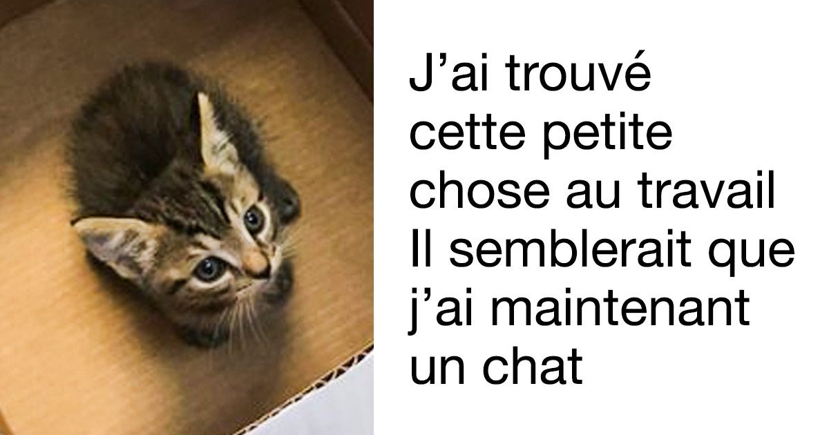 23 Preuves qui montrent que le passe-temps préféré de l’Univers est de nous organiser des mini-surprises