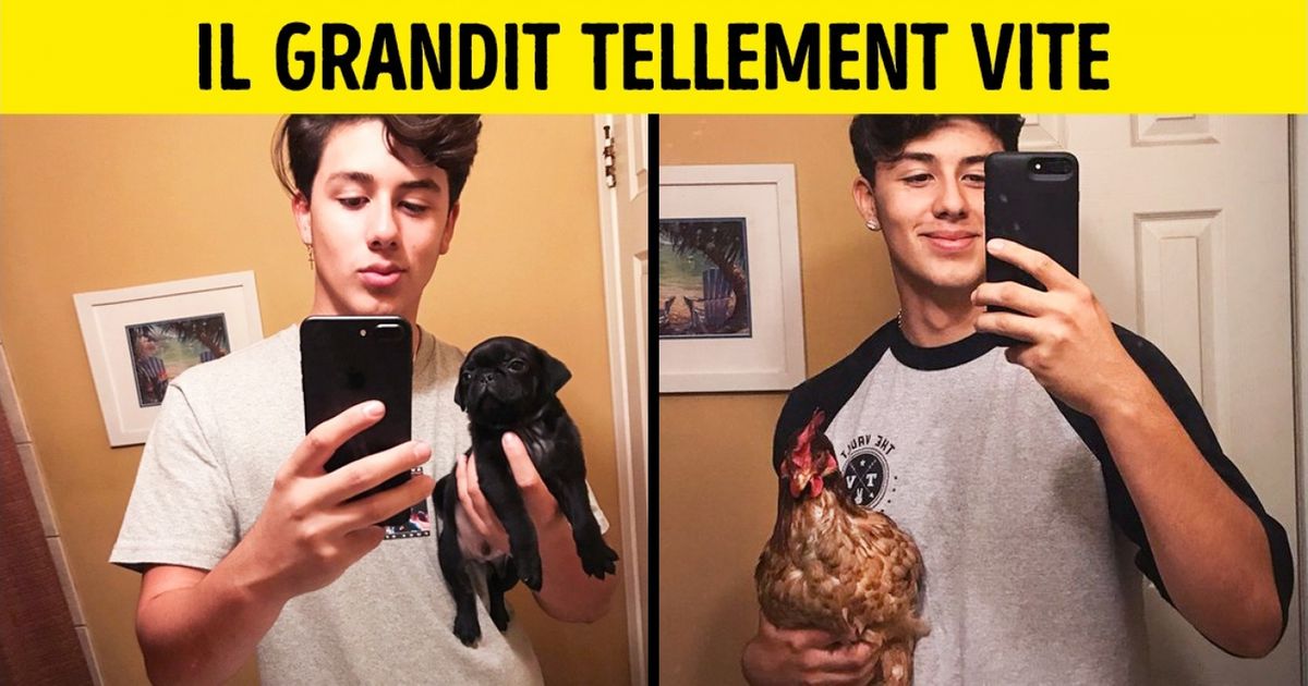 Ces 22 personnes pourraient gagner des millions grâce à leur sens de l’humour Ces 22 personnes pourraient gagner des millions grâce à leur sens de l’humour