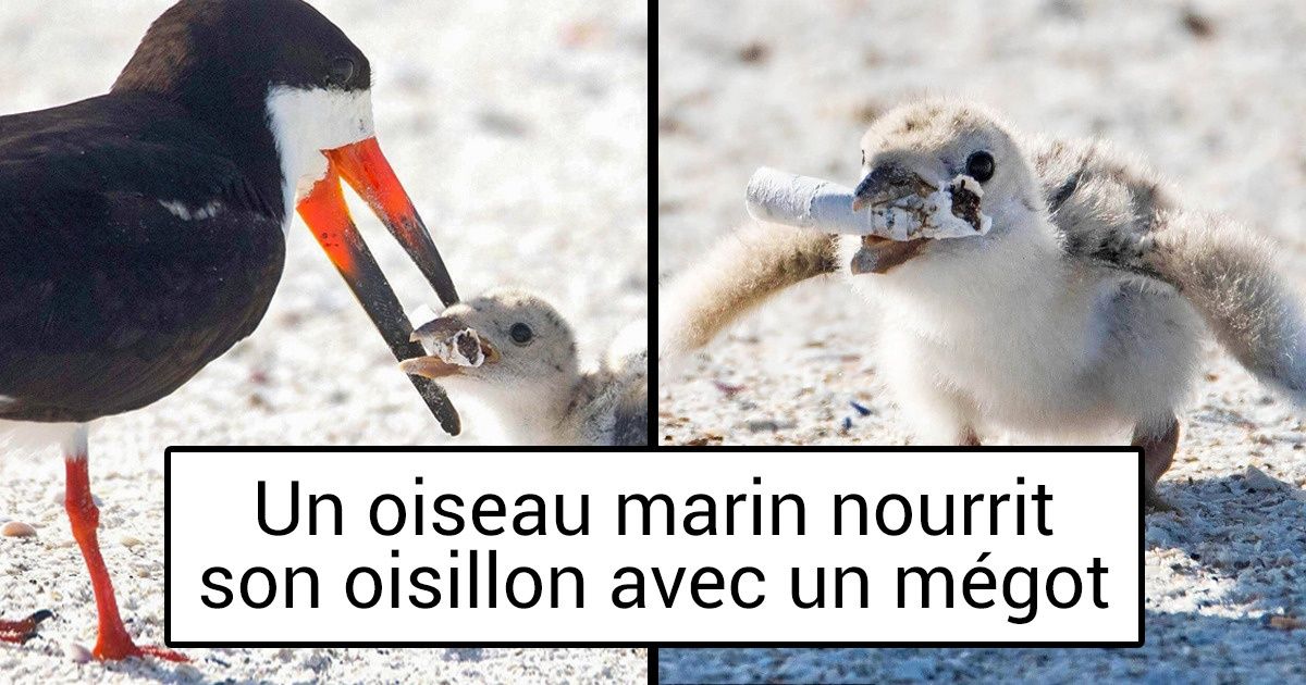 18 Photos qui font plus froid dans le dos qu’une douche glacée 18 Photos qui font plus froid dans le dos qu’une douche glacée